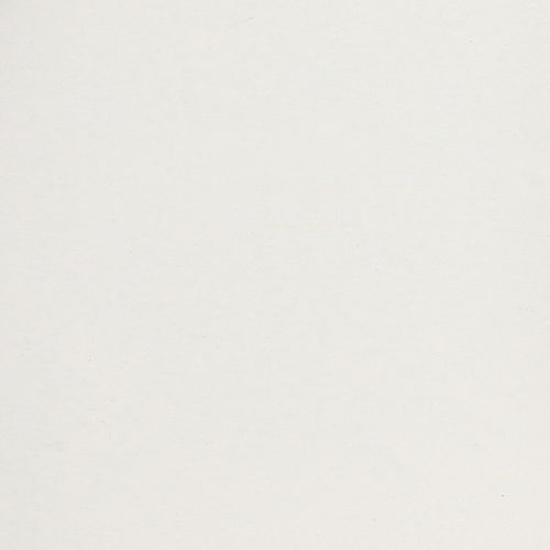 Article Plateau avec poignées pratiques pour une utilisation polyvalente à la maison et dans la restauration, 30 cm