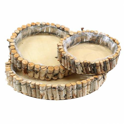 Floristik24 Plateau rond à planter en bouleau naturel Ø23/31/41cm lot de 3