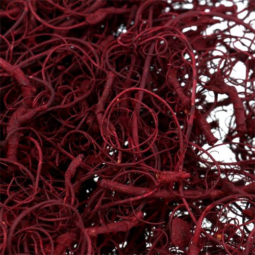 Article Fibre de Tamarin 500g Vin Rouge