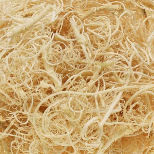 Article Fibre de Tamarin 500g blanchie