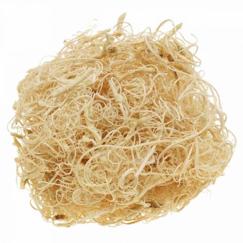 Floristik24 Fibre de Tamarin 500g blanchie