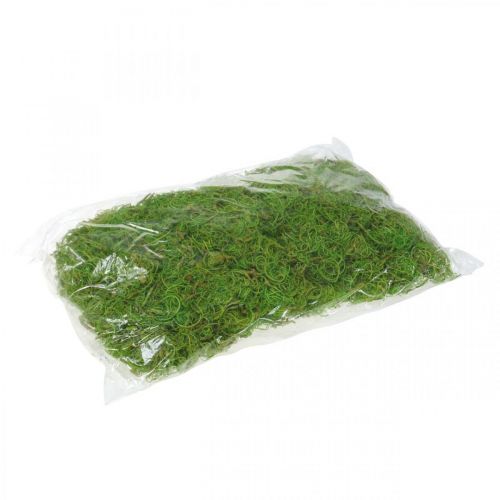 Article Fibre de Tamarin Fibre Naturelle Vert Clair pour l'Artisanat et la Décoration 500g