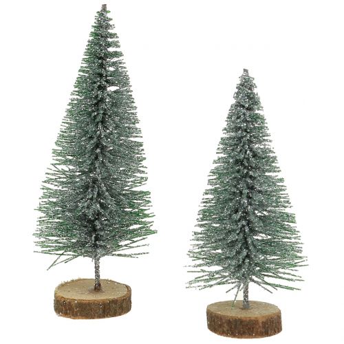 Floristik24 Sapin argenté 8cm 24 pcs