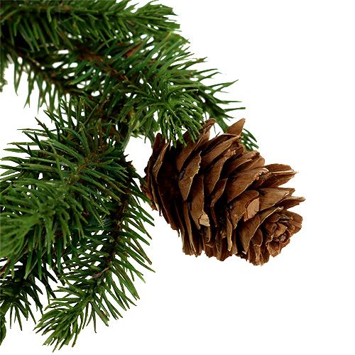 Floristik24 Couronne de sapin avec des cônes Ø11cm 6pcs