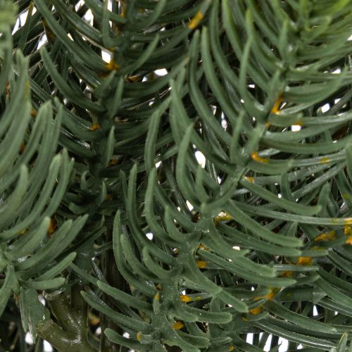 Branche de sapin artificielle, décoration de fenêtre festive, 50 cm, lot de 3 | Floristik24.be