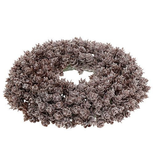 Floristik24 Couronne de pomme de pin Ø25cm avec paillettes