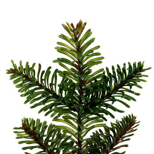 Floristik24 Branche de sapin artificielle 36cm vert 2pcs