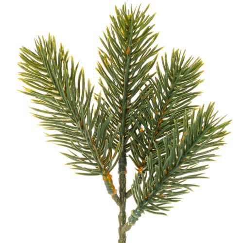 Branches de sapin artificielles vertes pour décorations hivernales, 25 cm, lot de 24. acheter | Floristik24.be