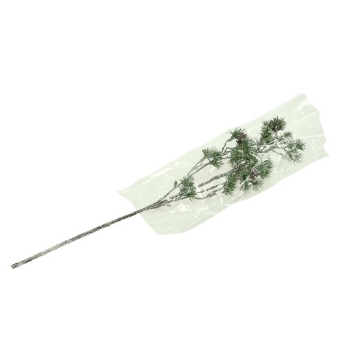 Floristik24 Branche de sapin blanchie à la chaux vert 46cm