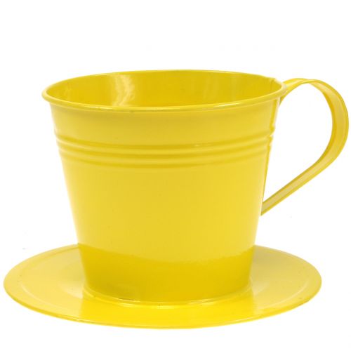 Floristik24 Tasse avec soucoupe Ø 12 cm H. 10 cm 8 p. coloris assortis