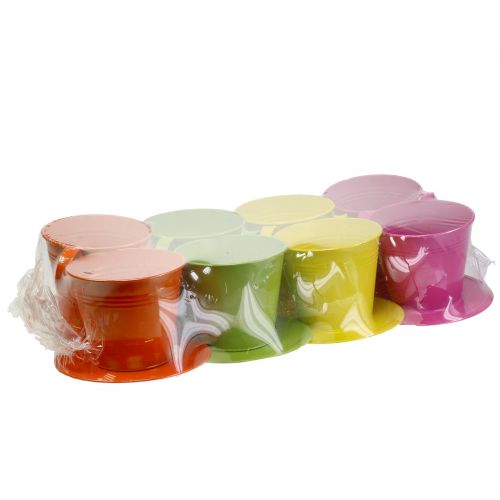 Floristik24 Tasse avec soucoupe Ø 12 cm H. 10 cm 8 p. coloris assortis