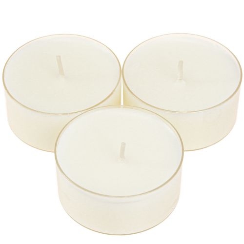 Floristik24 Bougies chauffe-plat maxi avec transp. Boîtier blanc 54mm 16 pcs