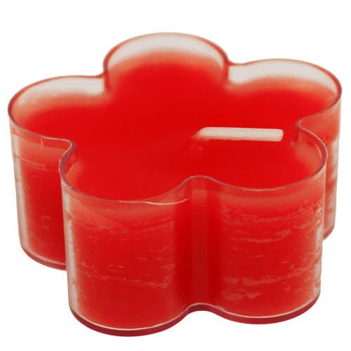 Floristik24 Blossom Light Rubis 12pcs