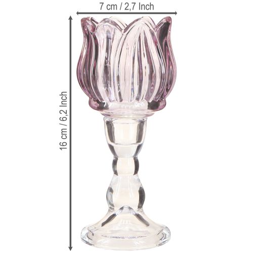 Article Photophore tulipe en verre violet Ø7cm H16cm 2pcs