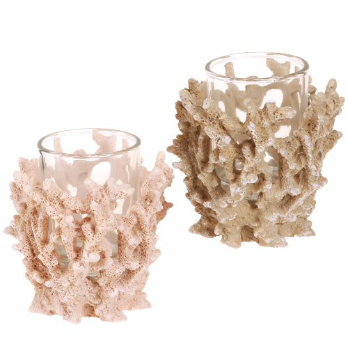Photophore décoration corail marron crème maritime H9cm 2pcs