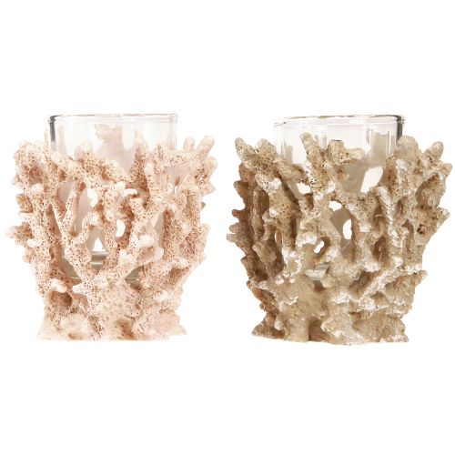 Floristik24 Photophore décoration corail marron crème maritime H9cm 2pcs