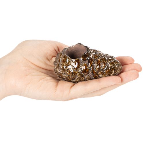 Porte-bougie chauffe-plat en forme de pomme de pin, 8 cm, lot de 3 | Floristik24.be