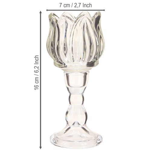 Article Photophore tulipe en verre avec base transparente Ø7cm H16cm 2pcs