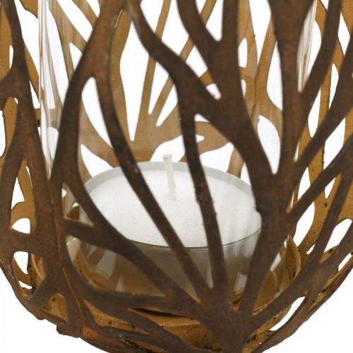 Floristik24 Lanterne aspect rouille, photophore rétro Ø13cm H30cm