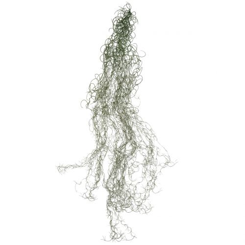 Floristik24 Tillandsia artificiel gris 130cm