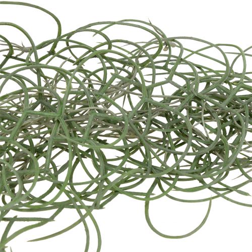 Floristik24 Tillandsia artificiel gris 130cm