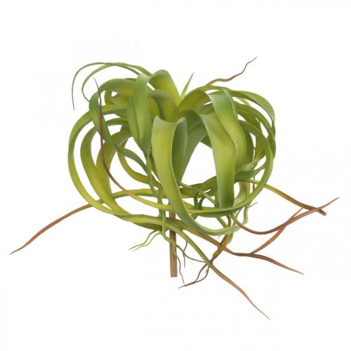 Floristik24 Tillandsia artificiel à coller vert clair plante artificielle 30cm