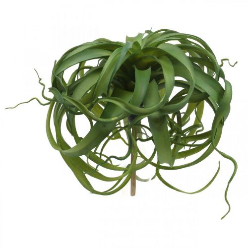 Floristik24 Tillandsia Plante verte artificielle à coller Large Green Ø40cm