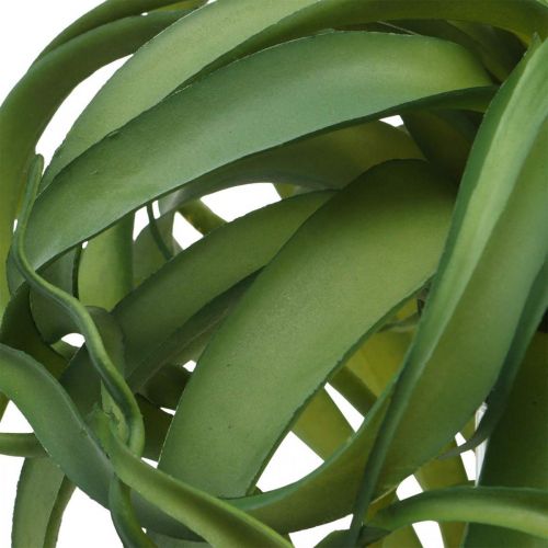 Article Tillandsia Plante verte artificielle à coller Large Green Ø40cm