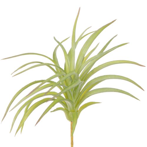 Floristik24 Plantes Artificielles Vertes Tillandsia avec Bâton Ø17cm 3 pcs