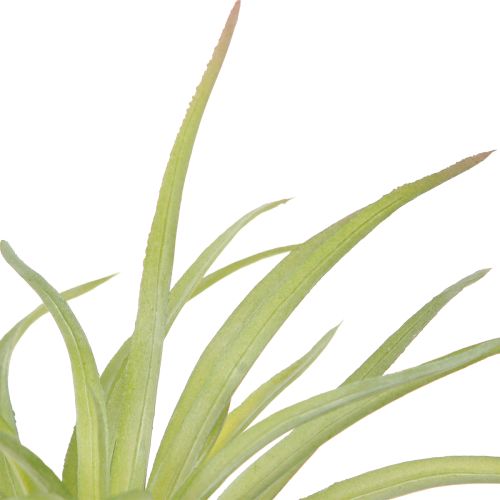 Article Plantes Artificielles Vertes Tillandsia avec Bâton Ø17cm 3 pcs