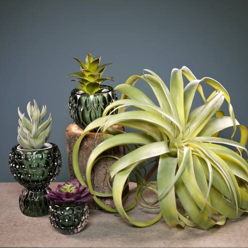 Floristik24 Tillandsia artificiel à coller vert clair plante artificielle 30cm