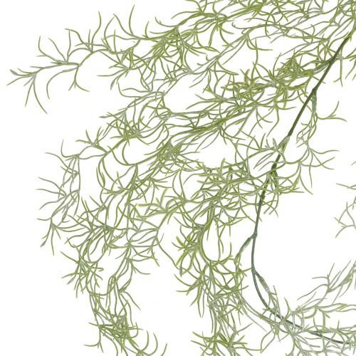 Floristik24 Retombée de tillandsia verte 160 cm