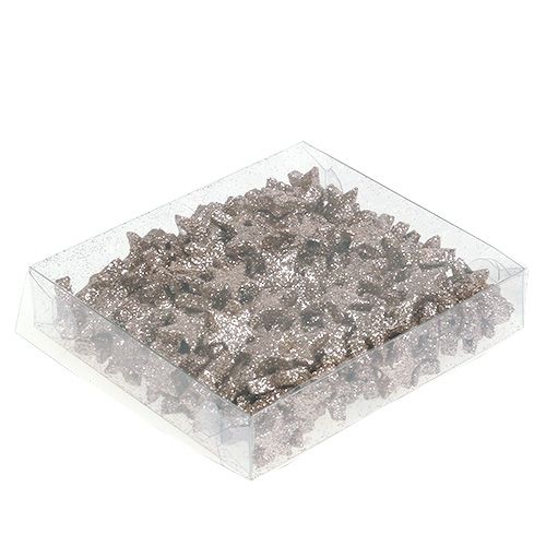 Floristik24 Dessus de table étoile mica champagne 1,5cm 144pcs
