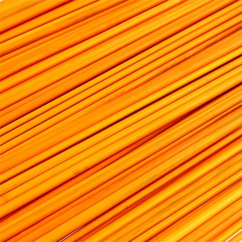 Floristik24 Tonkin jaune doré 70cm - 80cm 150 pcs.