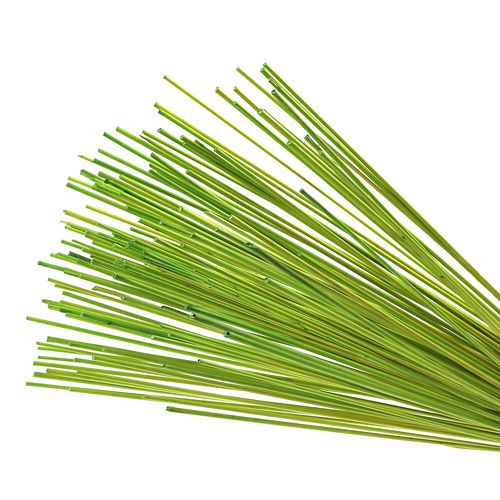 Floristik24 Bâtons décoratifs Tonkin 70cm vert clair 150 pièces