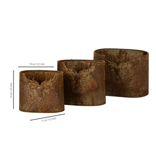 Pots de fleurs ovales rustiques en métal, motif cerf, lot de 3, 24 cm | Floristik24.be
