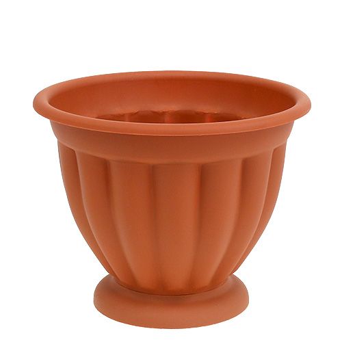 Floristik24 Pot avec base Ø17cm H14cm