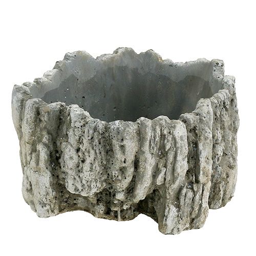 Floristik24 Pot avec écorce 20,5cm x 17cm 1pc