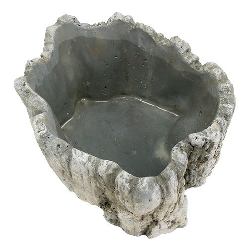 Floristik24 Pot avec écorce 20,5cm x 17cm 1pc
