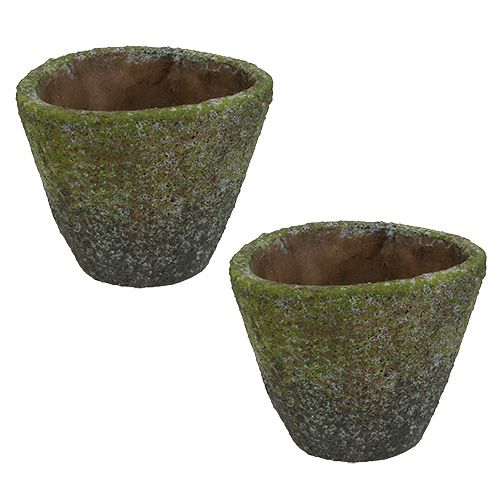 Floristik24 Pot de plantation Ø12cm H11cm 2pcs