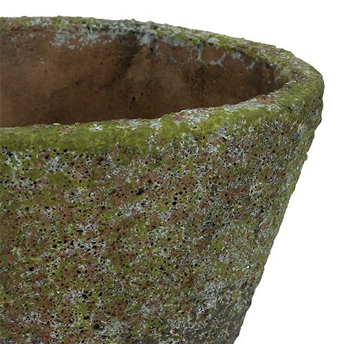 Floristik24 Pot de plantation Ø12cm H11cm 2pcs