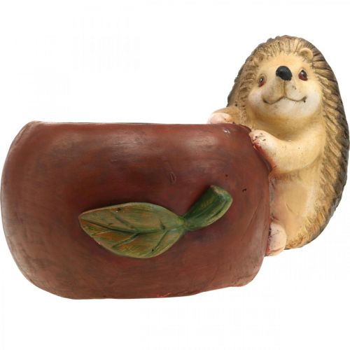 Article Jardinière, pomme avec hérisson, décoration d'automne, cache-pot, céramique Ø16cm H22cm L33cm
