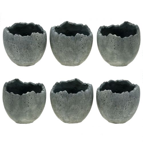 Floristik24 Cache-pot coquille d&#39;oeuf Ø12cm H11.5cm 6pcs