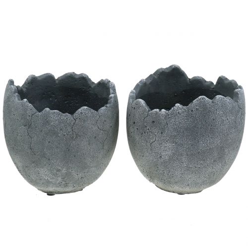 Floristik24 Cache-pot en béton coquille d&#39;œuf Ø14,5cm 15cm 2pcs