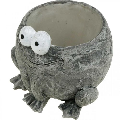 Article Porte-pot grenouille avec sourire gris 11x12cm