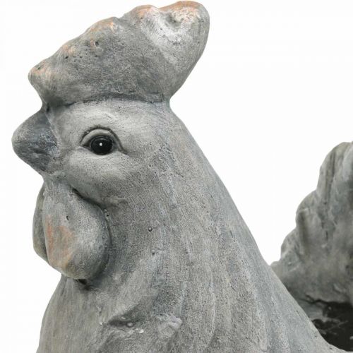 Floristik24 Poule à planter, décoration Pâques, cache-pot, ressort, poulet déco aspect béton H30cm