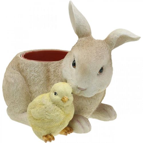 Floristik24 Décoration de Pâques à planter, lapin et poussin, printemps, cache-pot H24cm L30cm