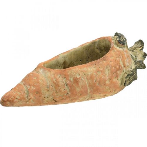 Floristik24 Carotte déco, décoration béton à planter, Pâques, cache-pot carotte, déco printemps L28cm