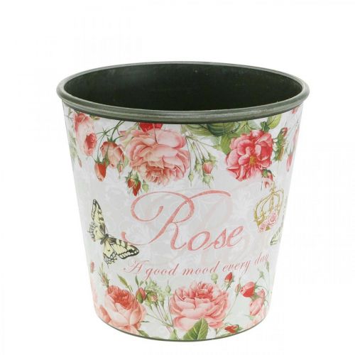 Jardinière, godet à planter, jardinière avec rosier H13cm Ø13.5cm