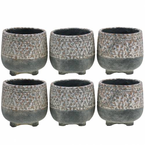Floristik24 Jardinière Plante Antique Béton Gris / Blanc Ø11cm H10,5cm 6pcs